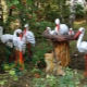 Overview of stork garden figures and their placement