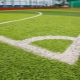 Beskrivelse og varianter af græsplæner til en fodboldbane