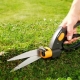 Varieties and rules for choosing lawn shears
