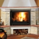 Varieties and placement of fireplaces in a private house