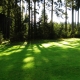 Skyggetolerant græsplæne: funktioner og pleje