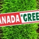 所有关于加拿大绿色草坪草