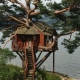What are tree houses and how to build them?
