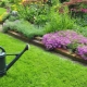 When to sow lawn grass?