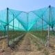 Features of nets for canopies and their varieties