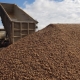All about expanded clay gravel