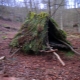 All about the huts in the forest