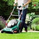All about spring lawn care