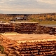 Natürliche Trocknung von Holz