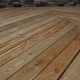 Characteristics of larch deck boards and technology of its installation