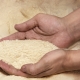Description of wood flour and its use