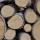 Features of industrial wood