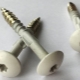 All about decorative screws