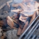 All about wood chips for smoking
