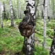 What is a birch burl and how to process it?