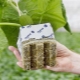 What is mineral wool for plants and how to use it?