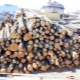 Eigenschaften, Vor- und Nachteile von Erlenbrennholz
