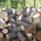 Totul despre lemnul de aspen
