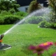 Choosing Impulse Sprinklers for Irrigation