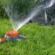 为花园浇水选择洒水器