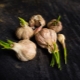 Malattie e parassiti dell'aglio
