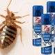 Use of Raptor remedies for bedbugs