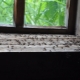 Wie wird man Ameisen in einem Holzhaus los?