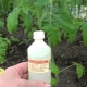 How to use ammonia for tomatoes?