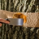 Cinturón de captura para árboles de plagas de jardín.