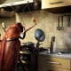 Where do cockroaches come from in an apartment and what are they afraid of?