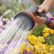 All about watering the garden and garden