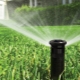 What is automatic watering and what is it like?