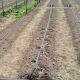 Qu'est-ce que l'irrigation goutte à goutte et comment l'installer ?