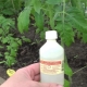 Ammoniak für den Garten und Gemüsegarten