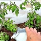 Comment nourrir les tomates avec de la levure ?