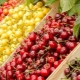 How is cherry different from sweet cherry?