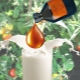 Utiliser du lait avec de l'iode pour les tomates