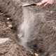 Verwendung von Asche beim Anpflanzen von Kartoffeln