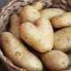 Hvordan opbevarer man kartofler i en lejlighed?