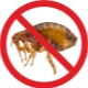 How to get rid of fleas with folk remedies?