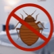 How to get rid of bedbugs with folk remedies?