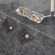 Hvordan planter man kartofler under en skovl?
