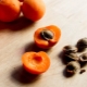 Jak vypěstovat meruňku z pecky?