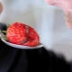 Welche Würmer können in Erdbeeren enthalten sein und wie wird man sie los?