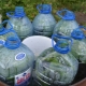 Funktioner ved dyrkning af agurker i 5-liters flasker