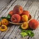 Verschillen en overeenkomsten tussen perziken en nectarines