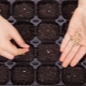 Příprava semen rajčat pro setí sazenic