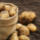 Bij welke temperatuur bevriezen aardappelen?