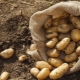Câte kilograme de cartofi sunt în pungă?