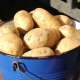 Hvor mange kilo kartofler er der i en spand?